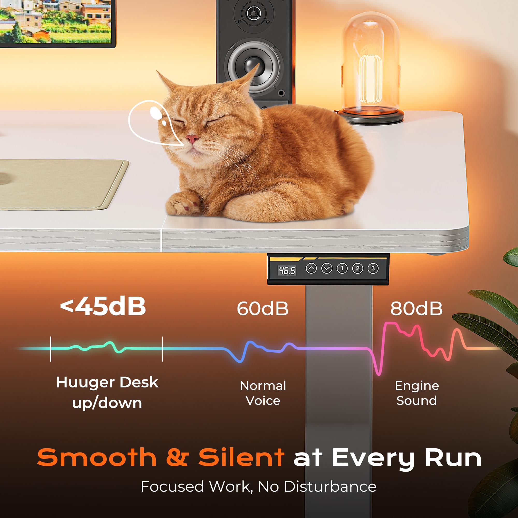 Huuger 48/55 Inch Electric Standing Desk, Stand up Desk, 27.6" Deep Desktop, 28.3" to 46.5" Height Adjustable Desk, Computer Desk with 2 Hooks, 3 Preset Heights, Office Desk