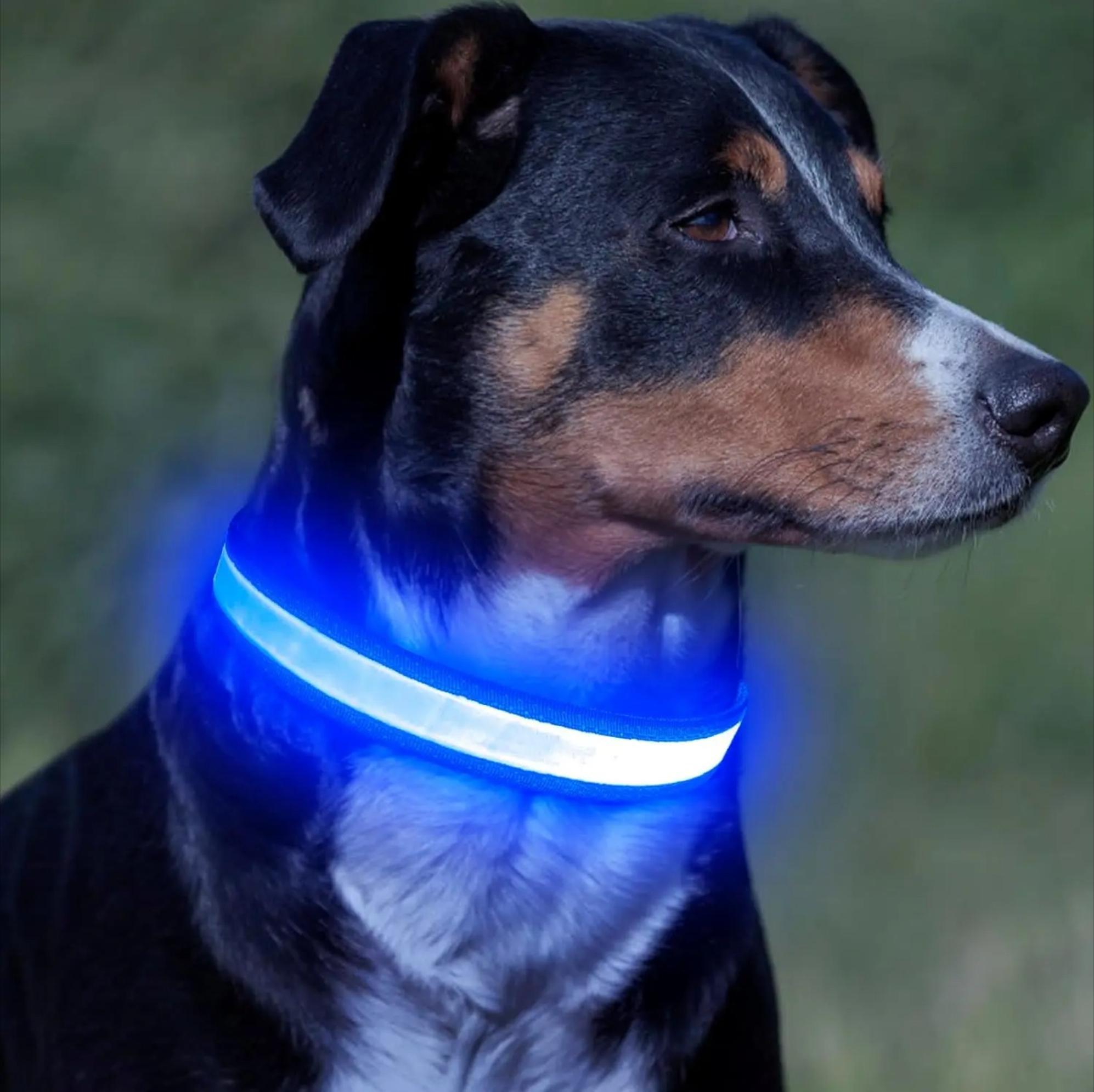 LED Light Up Dog Collar, USB Rechargeable Luminous Safety Collar, Adjustable Soft Mesh for Small Medium Large Dogs S‑L