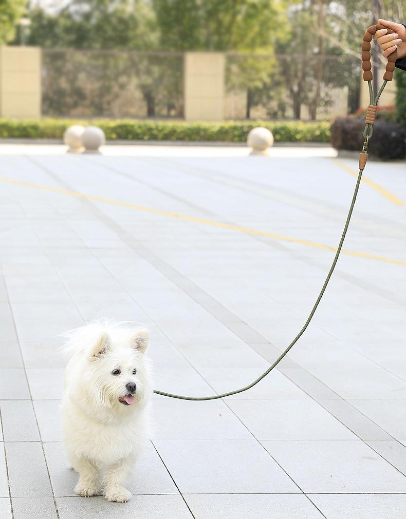 Dog Slip Lead All In One Training Leash Soft Foam Handle Heavy Duty Polyester Climbing Rope Walking Leash for Small Medium Large Dogs