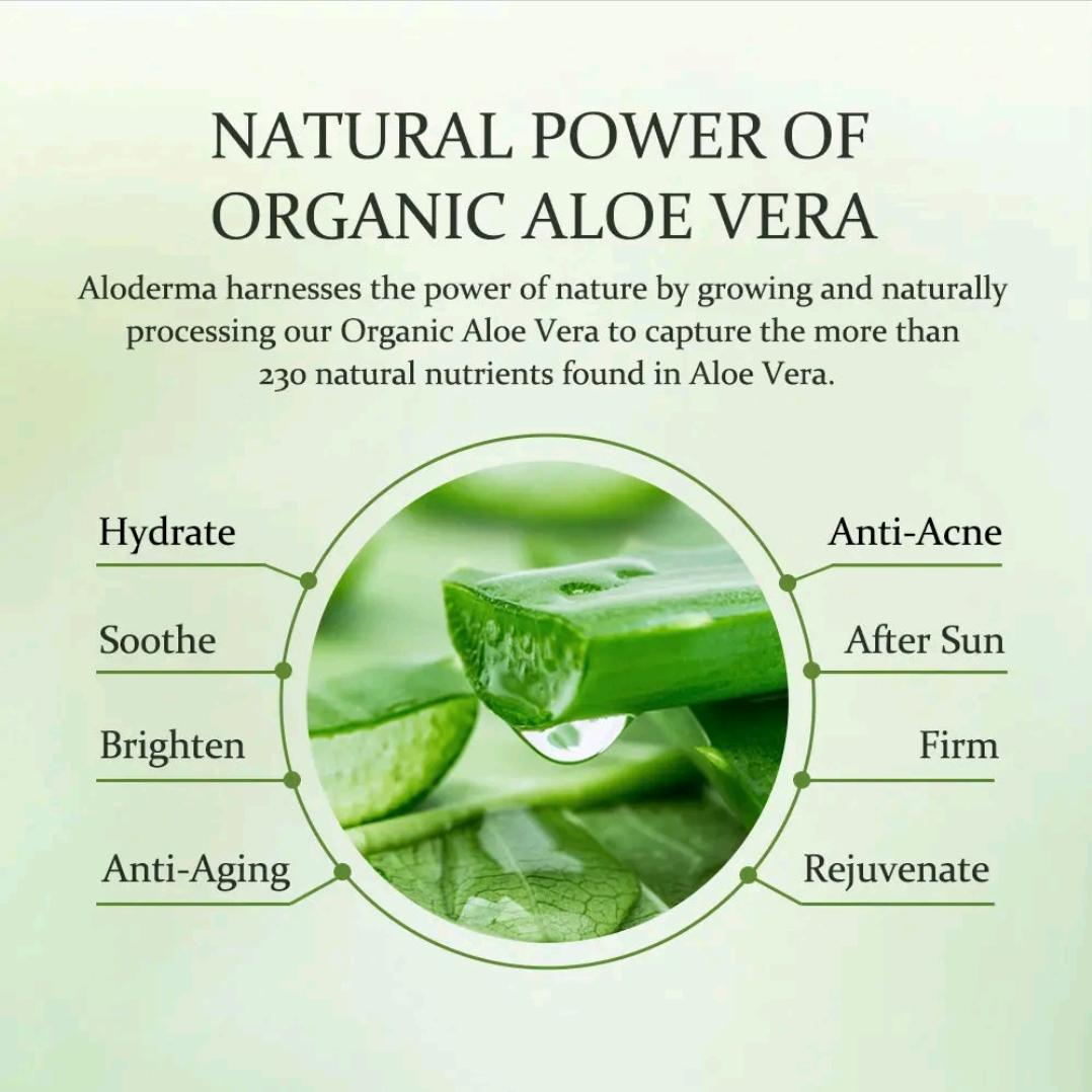 Pure Organic Aloe Vera Gel Made within 12 Hours of Harvest for Face, Body, Scalp, & Hair - Soothing Hydrating Aloe Gel, 10.58oz Gentle Skincare
