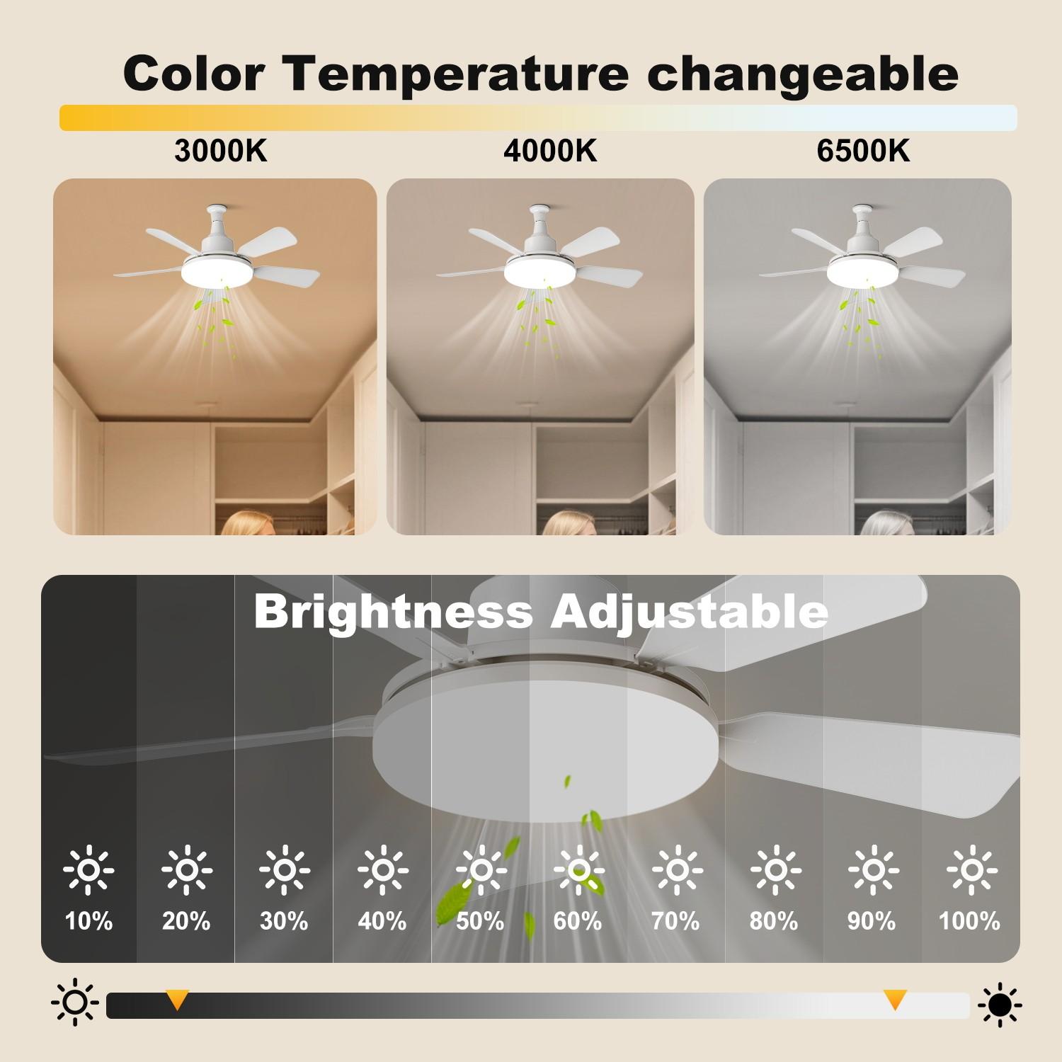 24-Inch Compact Two-In-One Fan Light, Adjustable Brightness, Timer Function, Three Speed Settings, Ideal for Small Living Rooms, Dining Rooms, Workspaces, Bedrooms