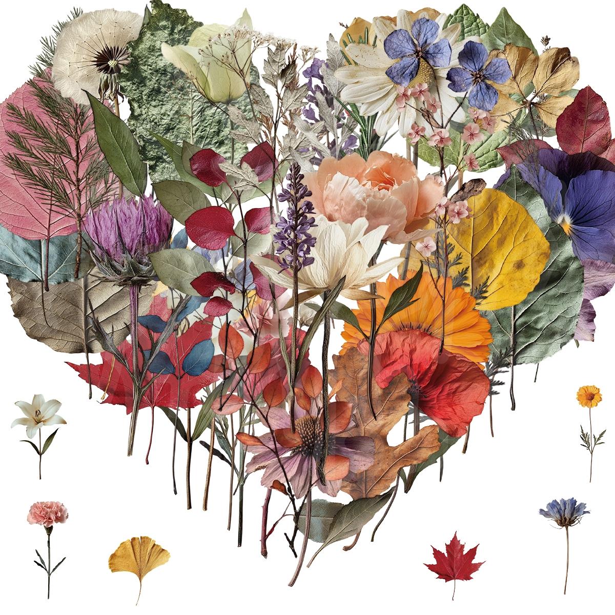 50-Piece Plant Stickers for Scrapbooking, Journaling & Crafting – Realistic Botanical Leaves, Ferns, and Tropical Plants, Self-Adhesive Decorative Stickers