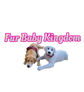 Fur Baby Kingdom