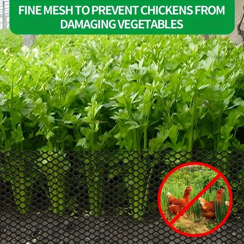 Plastic Wire Mesh Fence, Chicken Wire Net for Poultry, Animal Barrier, Flowers, Gardening, Width 40 Cm, Hole Size 8 Mm, Pest Control Netting