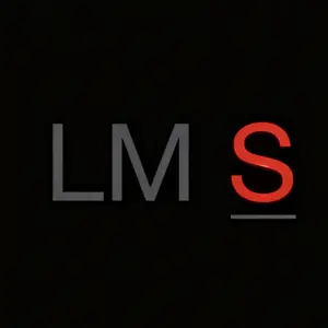 LMShoes