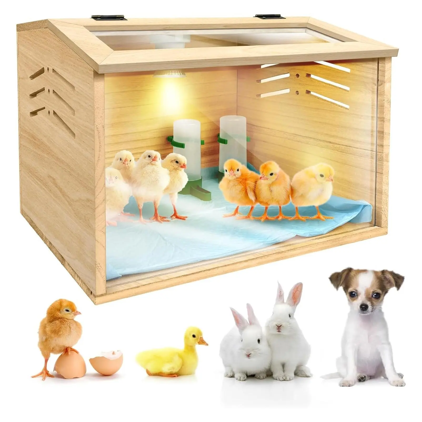 Chicken Brooder Box for Chicks & Quail with 3 Absorbent Pads, Feeder and Waterer - Adjustable Temperature Control Brooding Box for Small Chicken Coop & Quail Cage (15.7x12x12 Inches)Gift