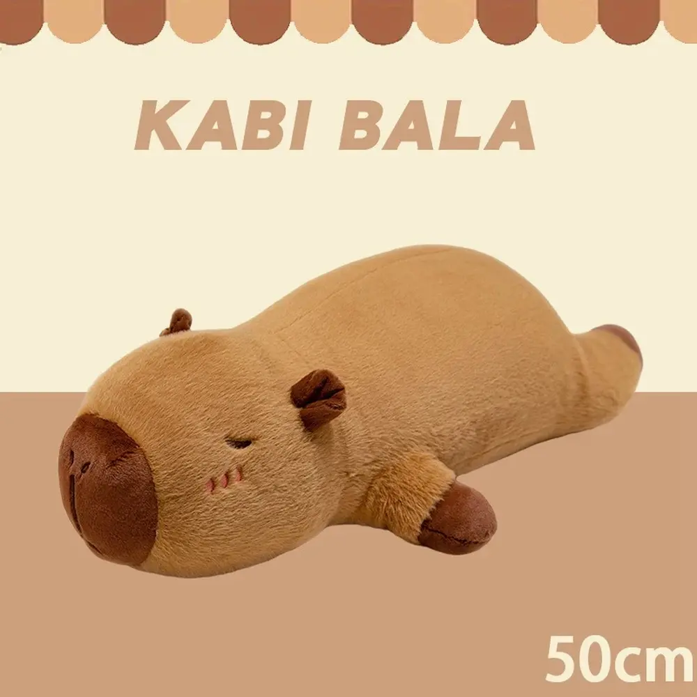 50cm