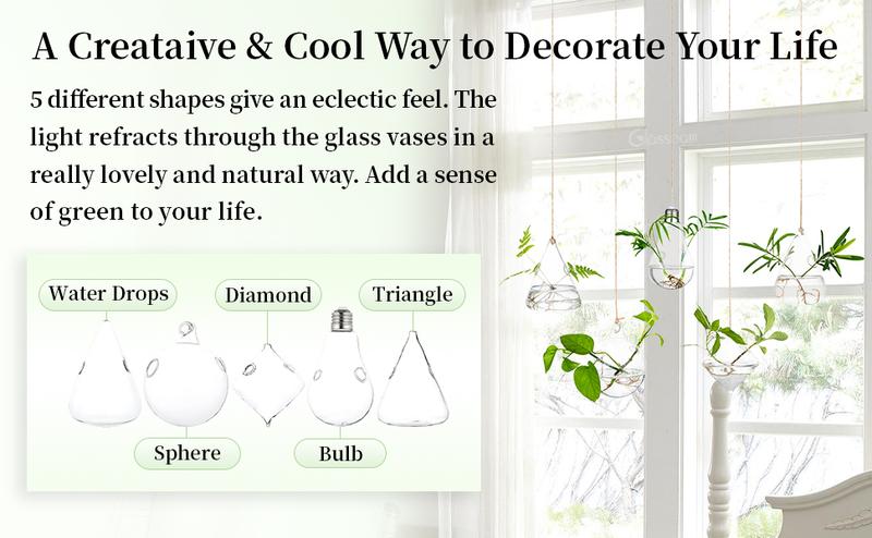 Nuptio Set of 5 Hanging Modern Planters, Glass Terrarium, Plant Propagation Stations Hydroponic Wall Vases for Air Plants Flowers Indoor Window Home Decor