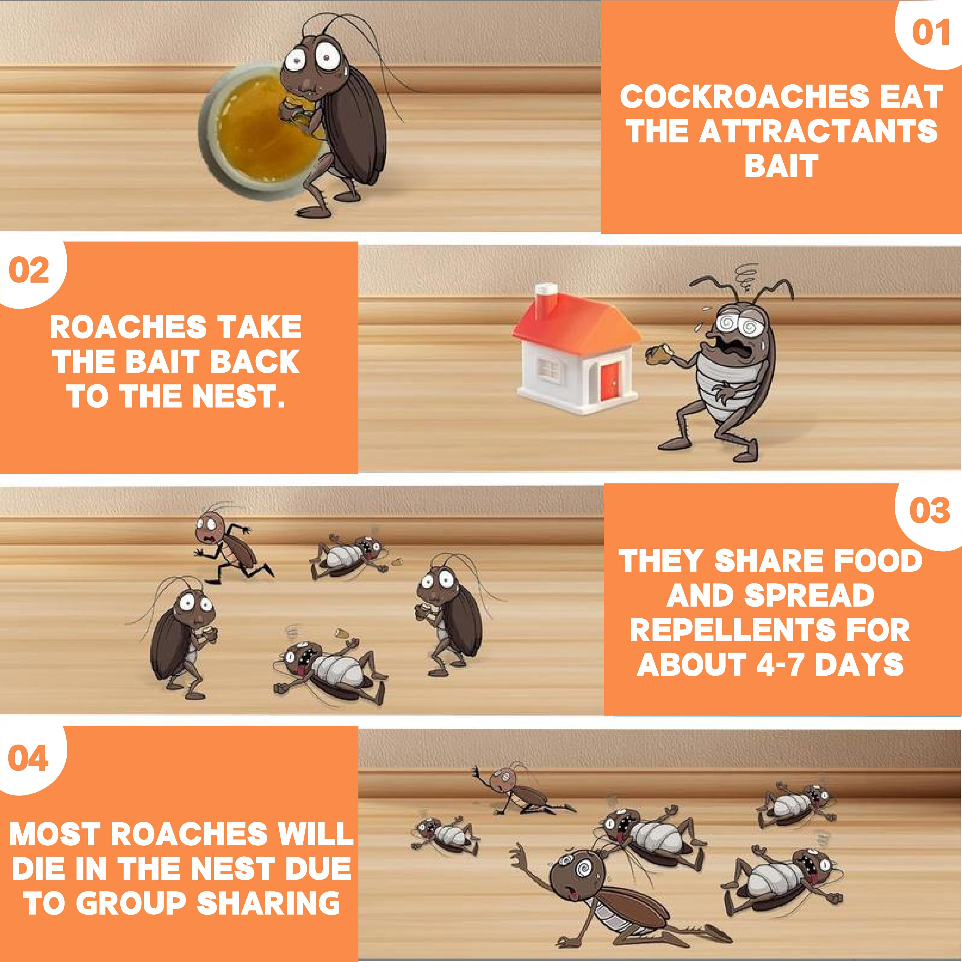 LENDOUYE: Indoor Pest Killing Products, Repellents, Indoor Traps, Insecticides, Bait Stations ZY Roach Control Solution