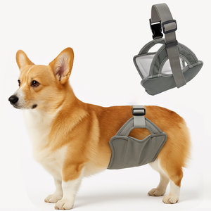 Wang Miaomiao's Shop