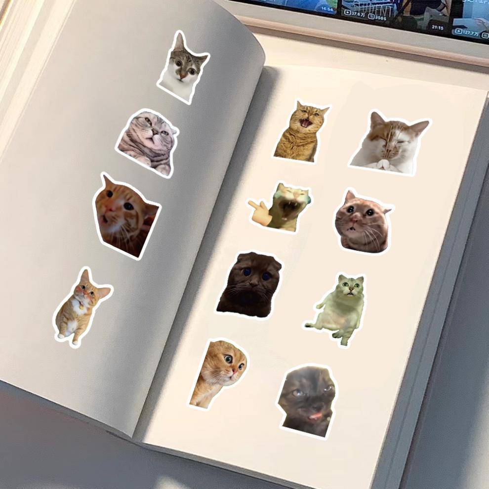 300 cat meme stickers, cute and funny quirky cat Instagram-style emoji and meme images