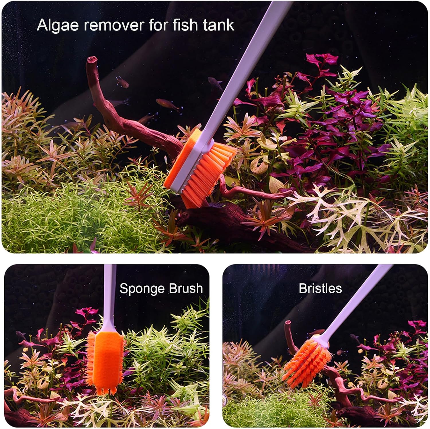 Small Fish Tank Cleaner - Algae Scraper for Glass Aquariums - Aquarium Brush & Scrubber Tool Adapted for Cleaning Glass and Acrylic Aquariums.