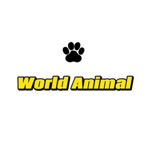 Mundo Animal