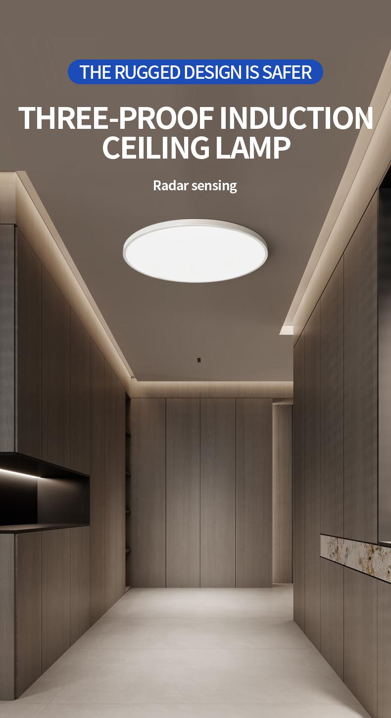 LED Induction Ceiling Light, Staircase Hallway Lamp, Infrared Human Radar Sensor, Smart Voice Control, Energy Efficient Lighting Solution