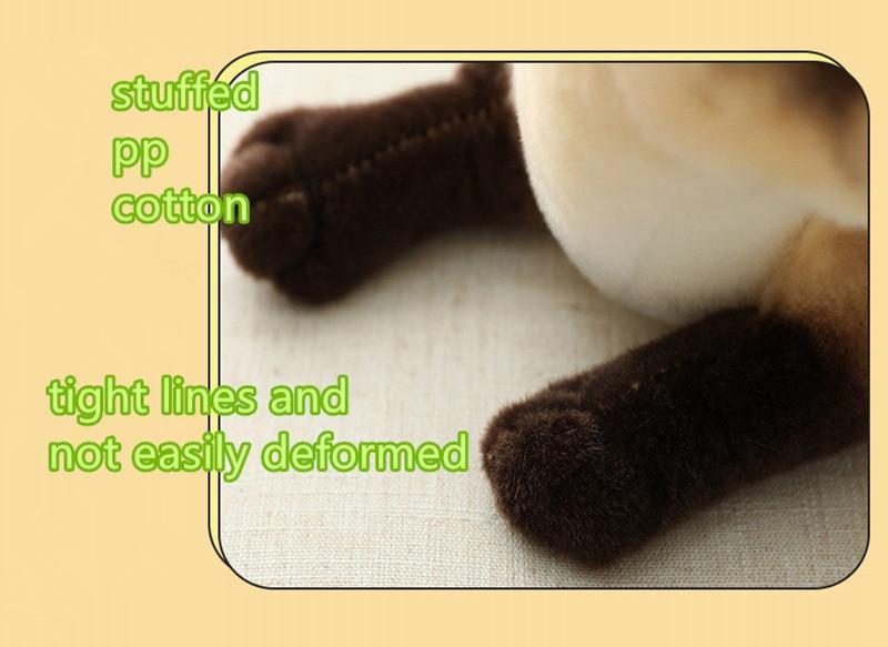 Stuffed Siame Cats Plush Toy 20/25cm Simulation American Shorthair Cute Cat Pet Toys Lifelike Home Decor Birthday Gift