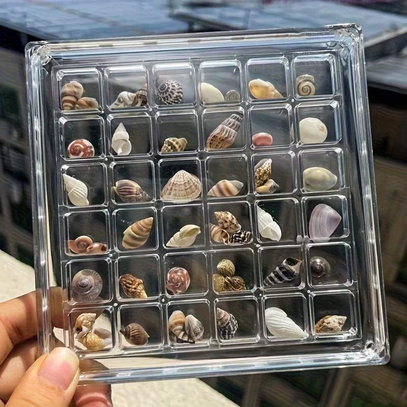 Colorful Mini Shells, Various Patterns and Colors, Ideal for DIY Crafts, Collage Art, Bottle Decorations, Fish Tank Accessories, Gift Ideas