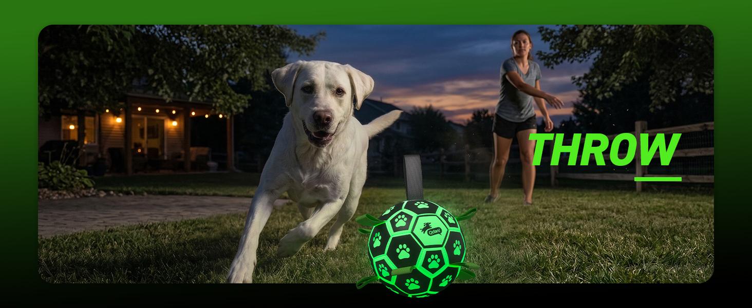 Glow in The Dark Dog Toys Soccer Ball with Straps, Outdoor Interactive Dog Toys Puppy Birthday Gifts, Dog Tug Water Toy, Light Up Dog Balls for Small & Medium Dogs（6 Inch Size 2）