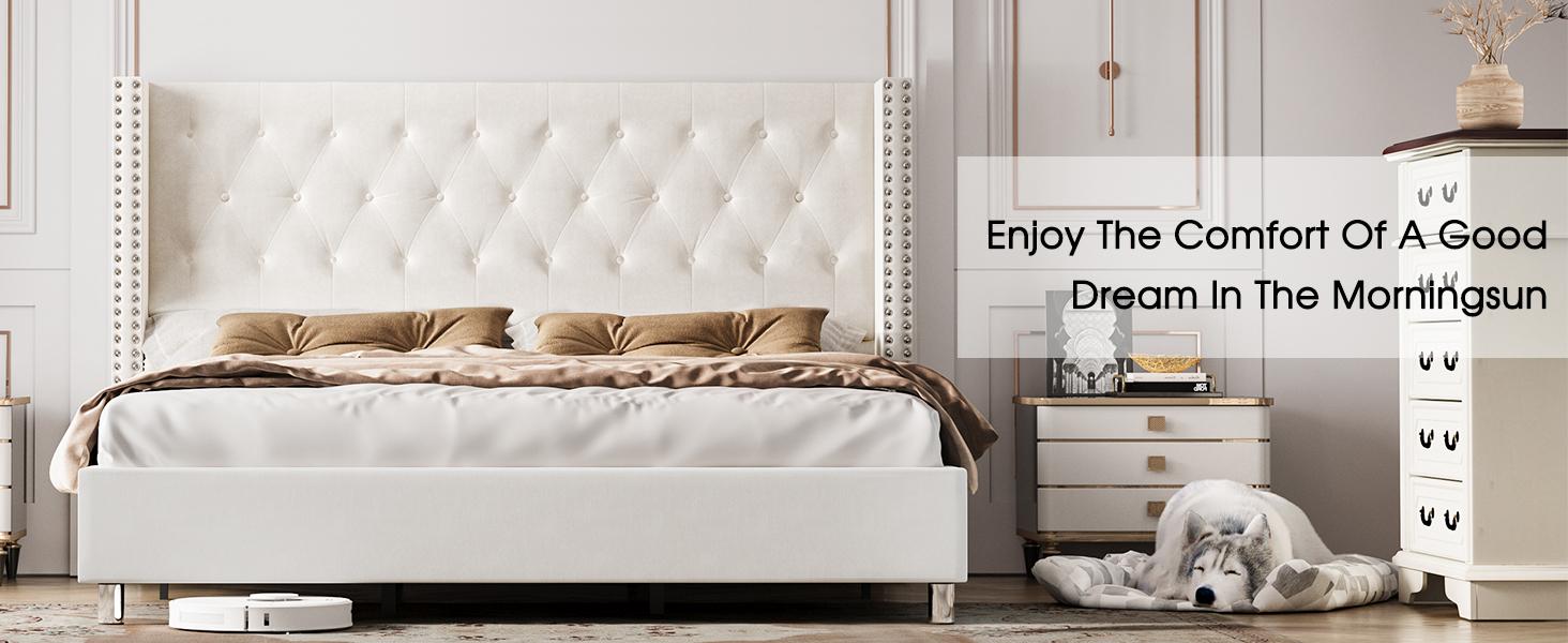 VanAcc Upholstered Bed Frame with 49.2" Tall Headboard, Modern Wingback Platform Bed, Low Profile Velvet Tufted Button, No Box Spring Needed