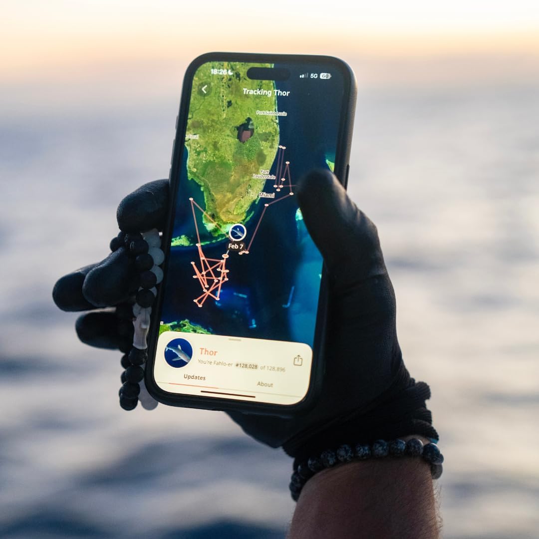 Bracelet - Track a Real 's - Supports Conservation - Elastic, Size Fits - Interactive Mobile App Map - Unisex Conservation Bracelet - Track a Real 's - Supports Conservation - Elastic, Size Fits - Interactive Mobile App Map - Unisex Conservation