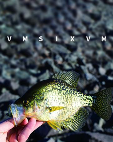 European Deer Skull Mount Hanger, Euro Wall Mount Hanger for Deer Head, Pronghorn and Other Smaller Animals, Skull Wall Hooker with Easy Installation Kit for Indoor Outdoor