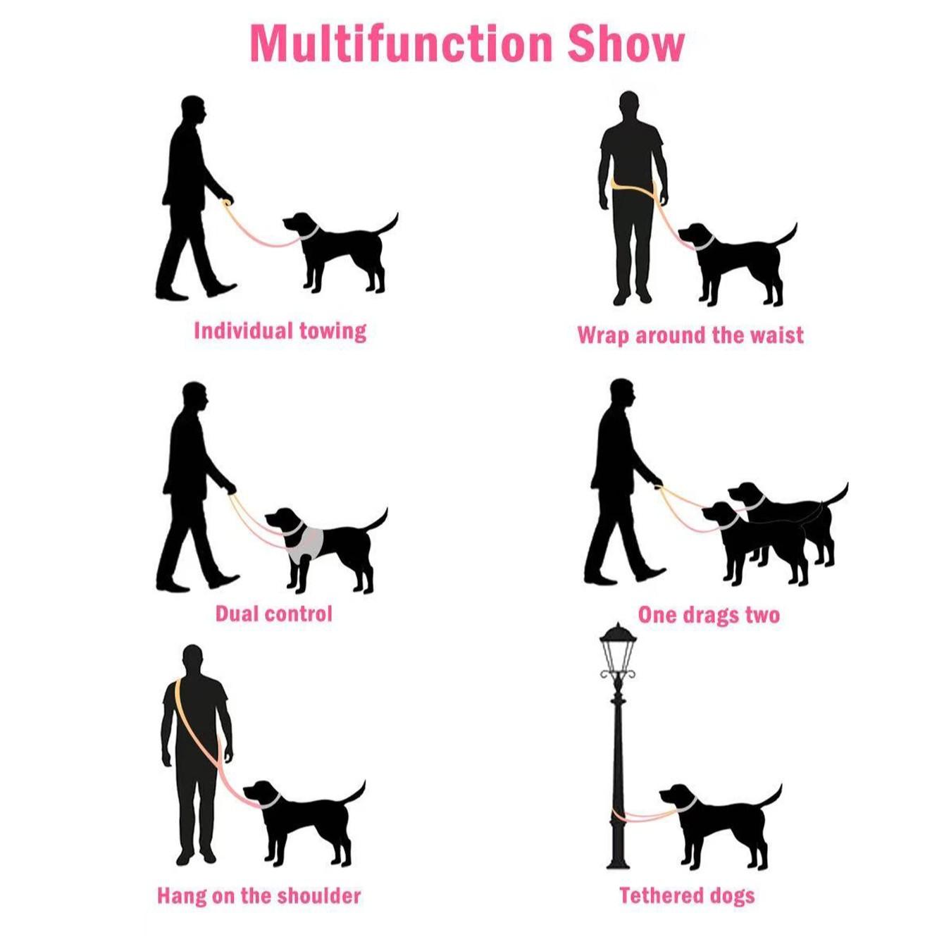 Adjustable Gradient Nylon Pet Leash, Multi-Functional Dog Training Rope, Ideal for Playing, Running, Camping, Backyard Exercise