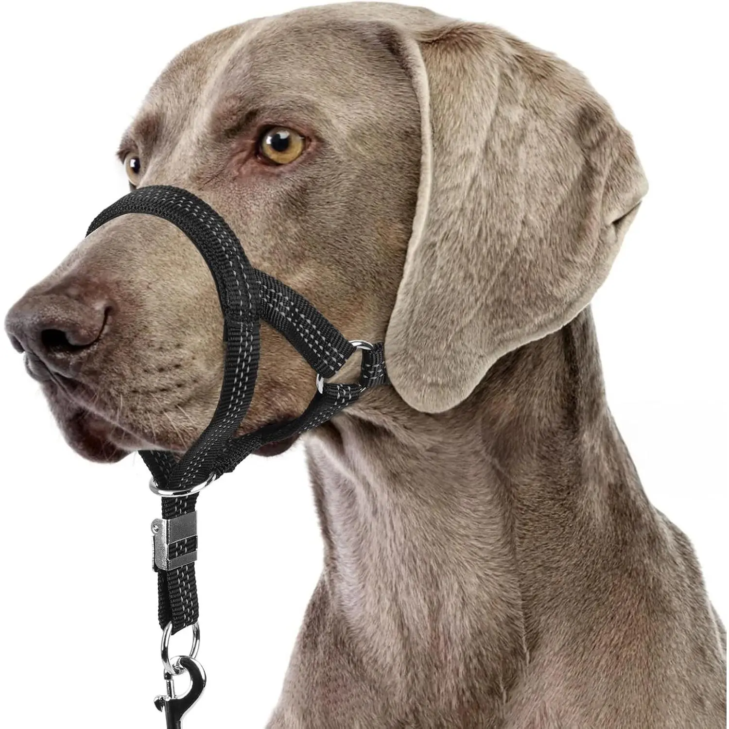Sturdy No Pull Head Collar for Medium Large Dogs, Gentle Reflective Head Halter with Safety Link, Adjustable Nylon Dog Training Muzzle Leash for Walking Control (Black, L)