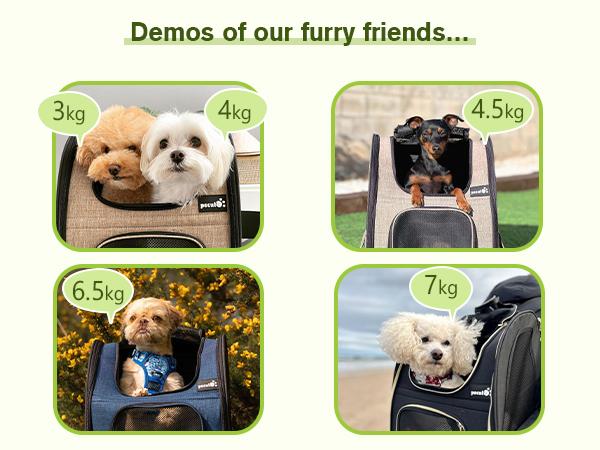 Pecute Expandable Cat Backpack with Breathable Mesh for Cats Small Dogs Puppies