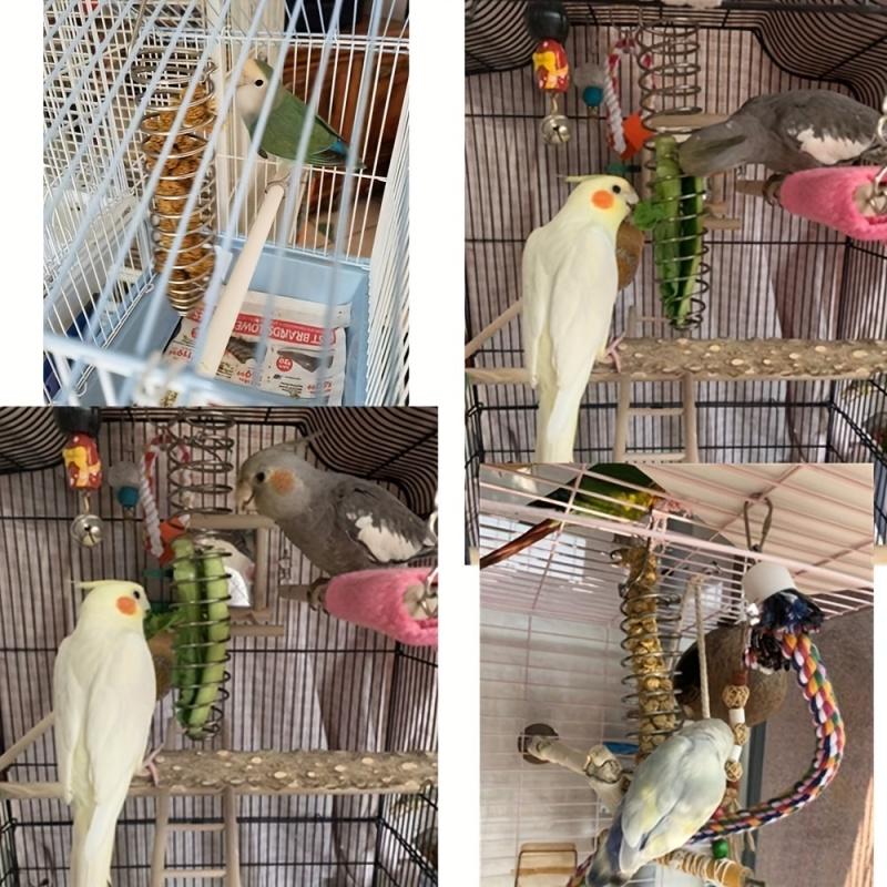 2 PCS Stainless Steel Bird Feeders - Durable Parrot Snack and Seed Container for Parakeets, Cockatiels, African Grey Parrots, Peafowl Parrots, General Parrots, Macaws (Model: DM647)