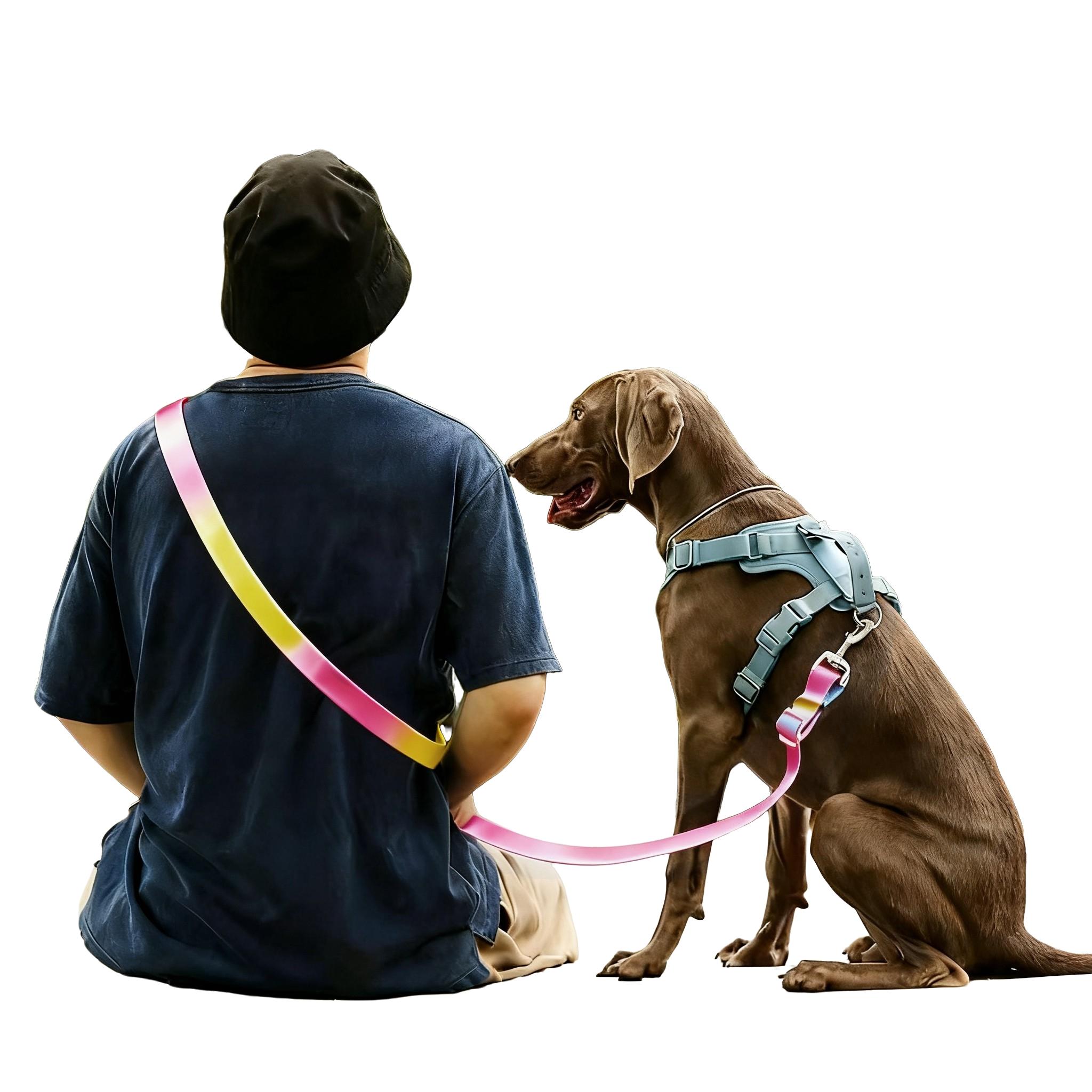 Adjustable Pet Leash, Gradient Color Outdoor Dog Walking Leash, Durable and Comfortable Pet Harness, Ideal for Daily Walks