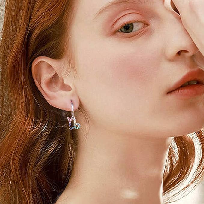 Presentski Zodiac Sign Earrings with Colourful Cubic Zirconia - QWomen's Girls' Hoop Earrings 925 Sterling Silver Small Horoscope Pendant Hanging Hoops Earrings 12 Constellation Astrology Jewellery Gift, Sterling Silver