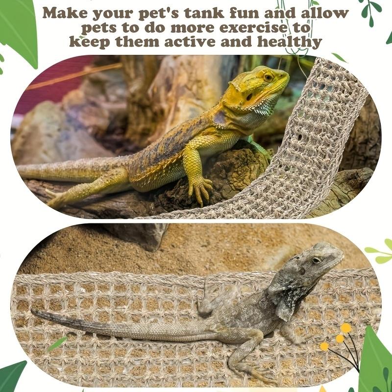 Bearded dragon hammock lizard reptile mountain climbing lounge chair seaweed fiber habitat tank accessories jungle toys suitable for hermit crab gecko snake iguana amphibians.