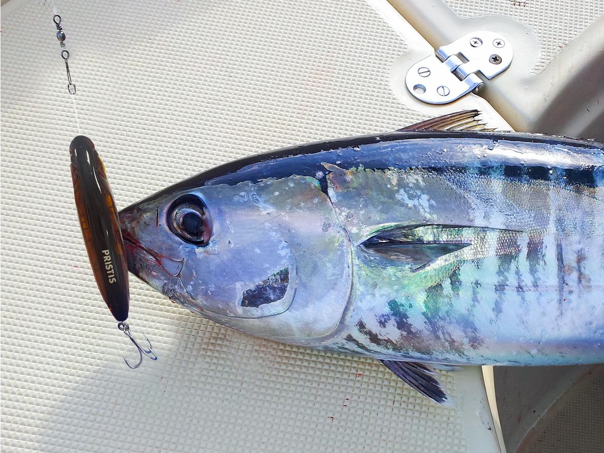 Pristis 3pcs Float Pencil Poppers, Topwater Fishing Lures for Saltwater & Freshwater, Floating Bait with Delicate Coating, Stick Plopper Hooks, Long Cast Walkers for Tuna Perch Striped Bass Trout