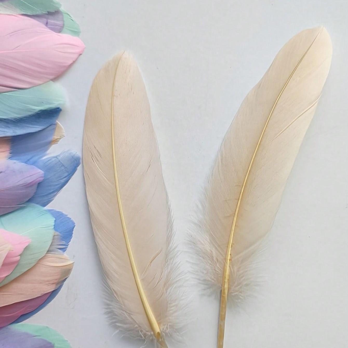 5/10/15pcs Multicolor Artificial Feathers, Premium Colorful Feathers for Dreamcatchers, Clothing Accessories, DIY Crafts, Wedding Decorations