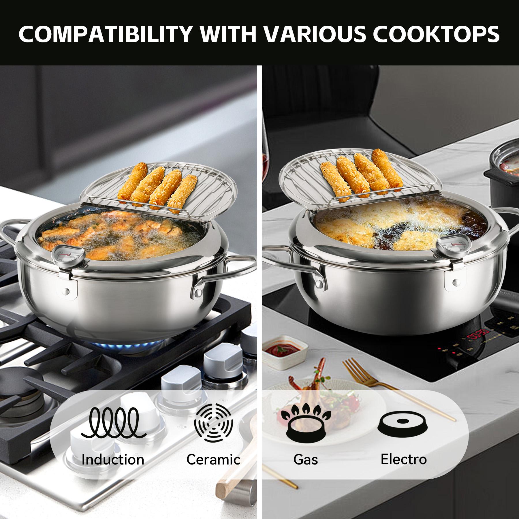 Deep Fryer Pot, LARGE Janpanese Style Tempura Frying Pot with Lid, 304 Stainless Steel with Temperature Control and Oil Drip Drainer Rack, for Kitchen French Fries, Chicken etc