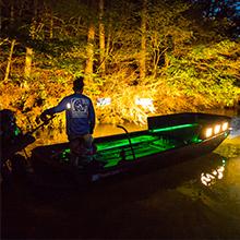 Nilight Led Light Bar 2PCS 5Inch 72W 10800Lumens Yellow Flood Beam Fog Driving Lamps Off-Road Lights with 16AWG Wiring Harness Kit-2 Lead harness kit-2 light pod fog boat  Vehicle  dealsforyoudays