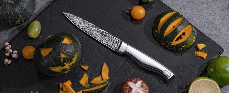 Astercook Knife Set, 14 Pieces Kitchen Knife Block Set with Built in Knife Sharpener Block, Dishwasher Safe, German Stainless Steel, Best Gift, Silver Wood Steak Wooden