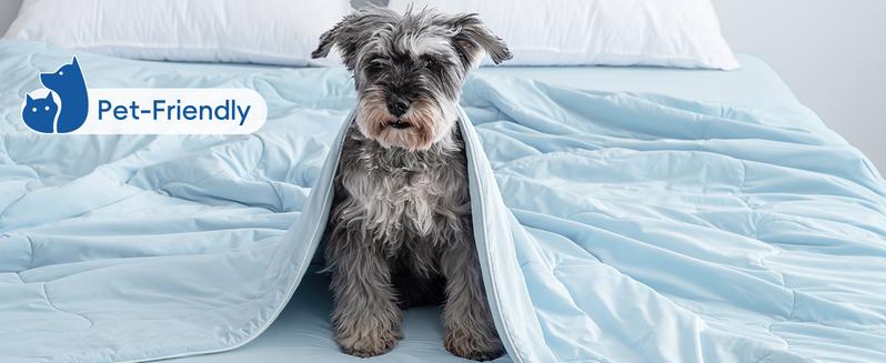 PHF Cooling Comforter King Size, EcoCosy Breathable Cooling Blanket for Hot Sleepers, Soft Lightweight Q-Max>0.52 Summer Silky Comforter for Night Sweats to Keep Cool Super Fluffy Duvet Duvet Insert