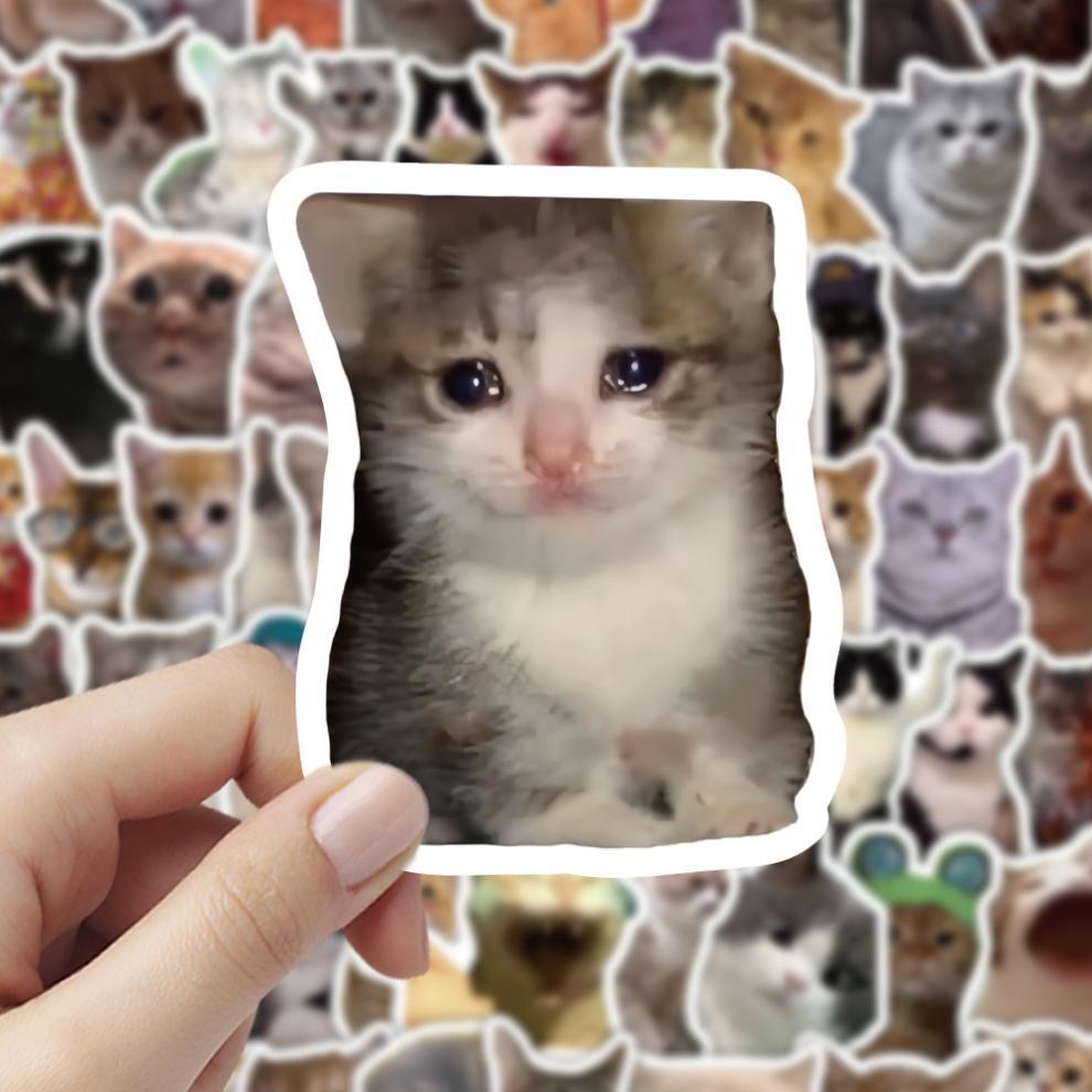 300 cat meme stickers, cute and funny quirky cat Instagram-style emoji and meme images