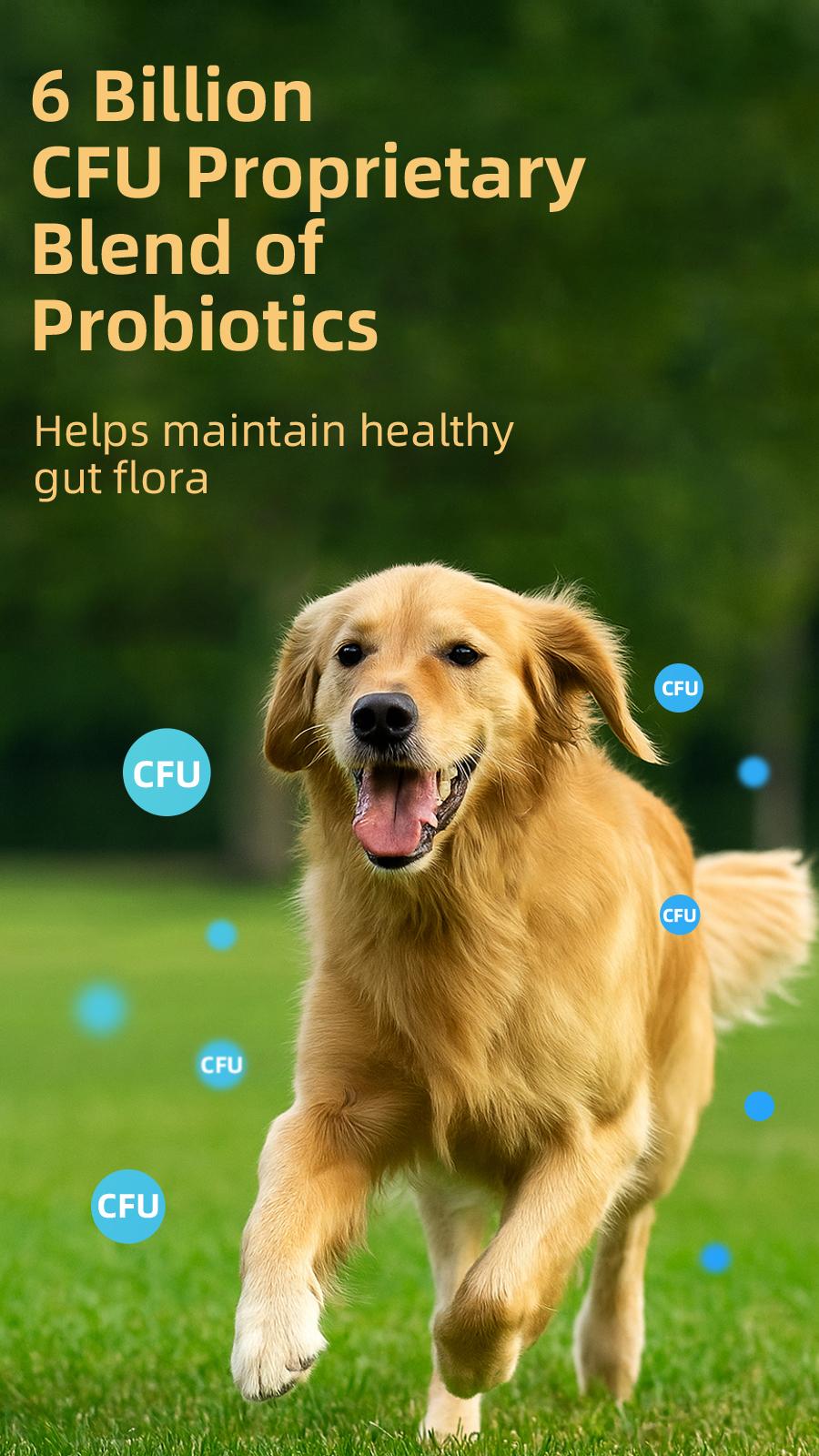 HAPWAG 8-in-1 Multivitamin Soft Chews for Dogs – Probiotics, Gut & Immune Support – Pork Flavor – 90 Treats