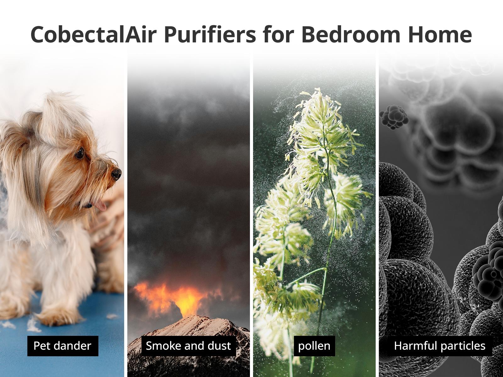 Fetions Premium HEPA Air Purifier with Aromatherapy – Advanced 3-Stage H13 True HEPA Filtration, Ambient Light Enhancement, Effectively Eliminates Allergens Like Pet Hair, Dust, Pollen, and Smoke
