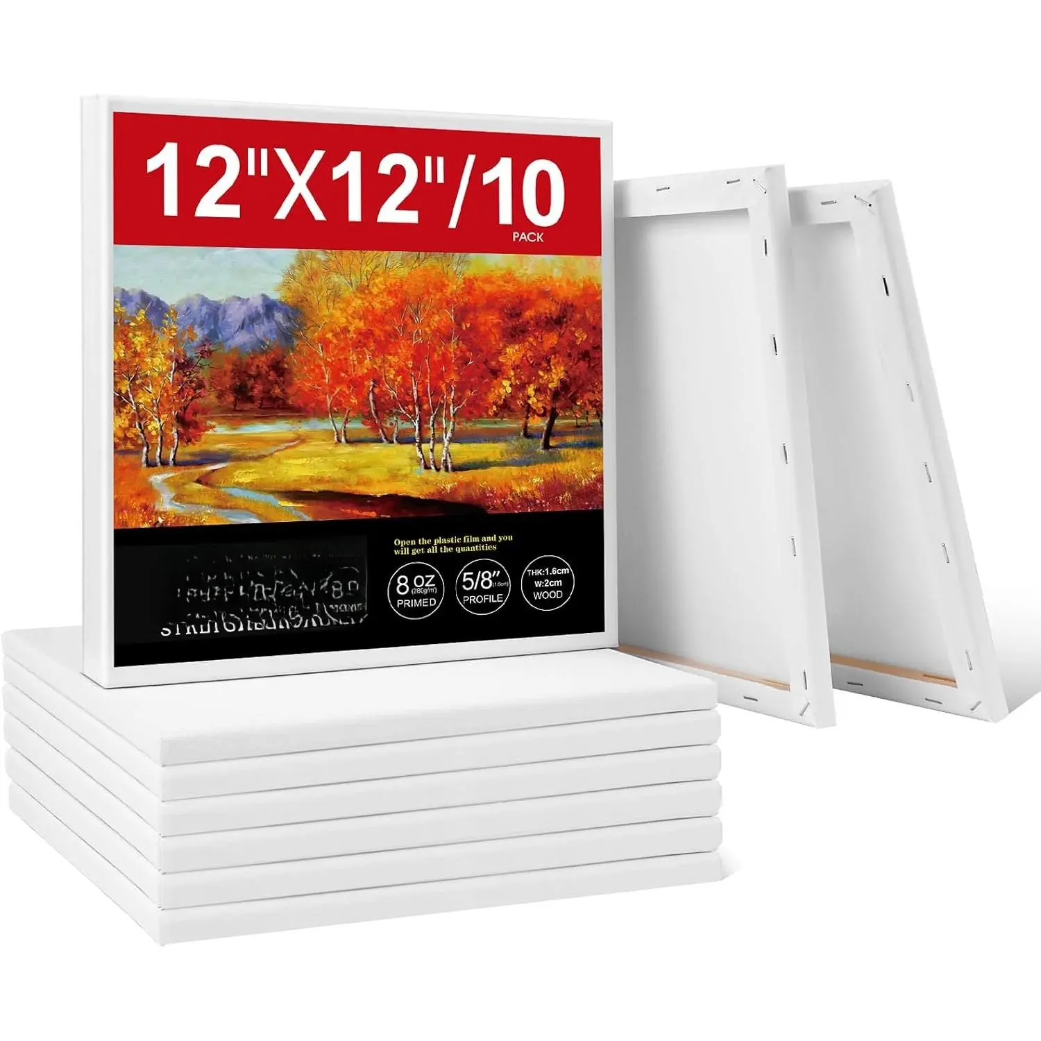 12X12IN 10 Packs