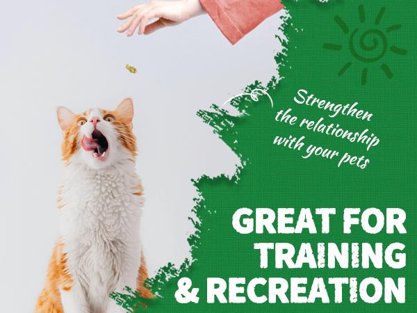 JUST TRY 4PCS 13.4 OZ Cat Grass Treats Natural Salmon Flavor Healthy Cat Snacks Training Biscuits Catnip for Cats Dental and Hairball Control Treats Remedy Chews