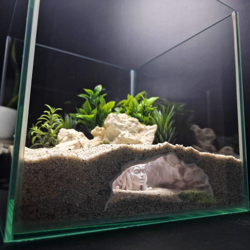 1pc 3D-printed aquarium reptile cave, no-assembly habitat hideout with multi-layered shell, enhances freshwater/saltwater aquarium ecosystem, hiding spot for small fish, shrimp, and turtles