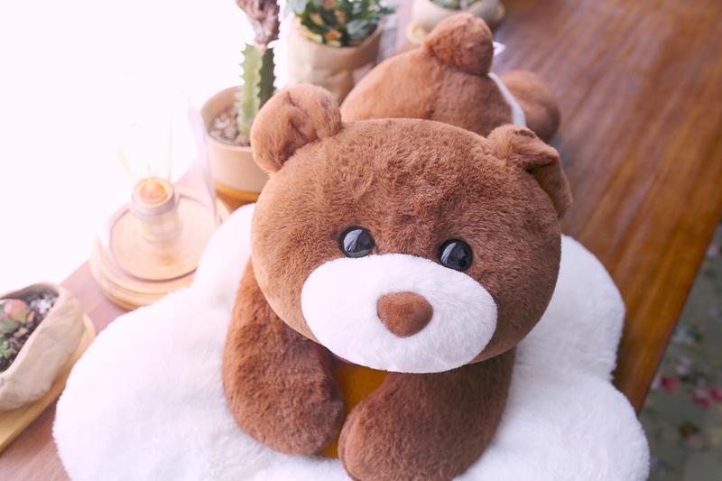 uoozii 20-24" | 4-5 Pounds Highland Cow Capybara Cat Dog Dinosaur Sloth Elephant Axolotl Bear Weighted Stuffed Animals with Unscented Microwavable Heating Pad, Coolable Heatable Weighted Plush Warm Gift for Stress & Period Pain Relief uoozii 20-24" | 4-5 Pounds Highland Cow Capybara Cat Dog Dinosaur Sloth Elephant Axolotl Bear Weighted Stuffed Animals with Unscented Microwavable Heating Pad, Coolable Heatable Weighted Plush Warm Gift for Stress & Period Pain Relief