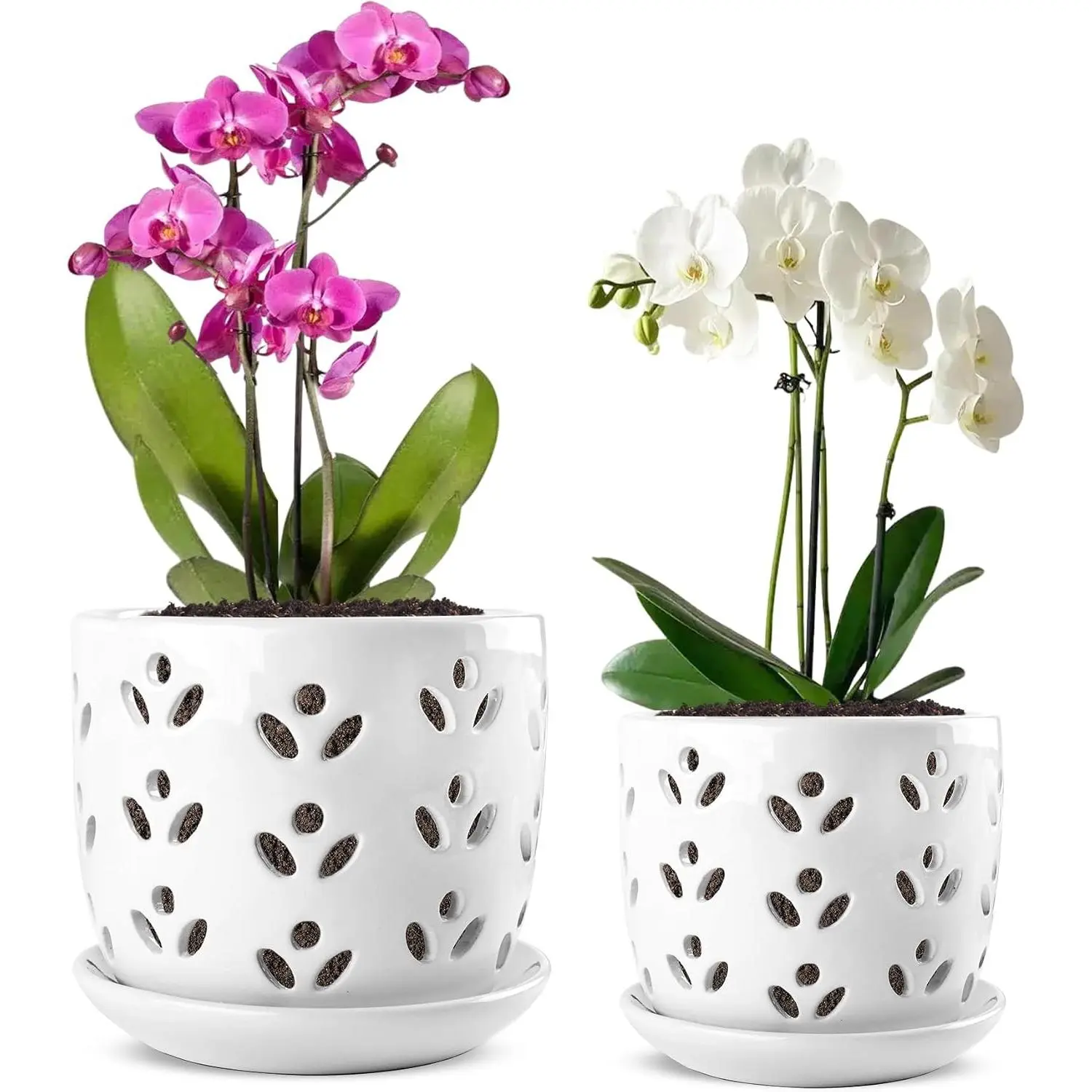 Orchid Pot, 2 Pack Orchid Pots with Drainage Holes and Saucer, 6 Inch and 5 Inch Large Ceramic Planter for Repotting Indoor Plants, Succulent, Decorative, Good Air Circulation, White