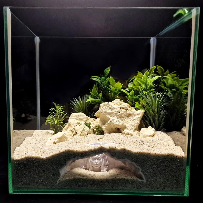 1pc 3D-printed aquarium reptile cave, no-assembly habitat hideout with multi-layered shell, enhances freshwater/saltwater aquarium ecosystem, hiding spot for small fish, shrimp, and turtles