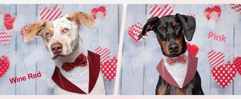 Kuoser Dog Tuxedo Dog Suit and Bandana Set, Dogs Tuxedo Wedding Party Suit, Dog Prince Wedding Bow Tie Shirt Formal Dog Wedding Attire for Large and Medium Dogs Golden Retriever Samo Bulldogs Kuoser Dog Tuxedo Dog Suit and Bandana Set, Dogs Tuxedo Wedding Party Suit, Dog Prince Wedding Bow Tie Shirt Formal Dog Wedding Attire for Large and Medium Dogs Golden Retriever Samo Bulldogs