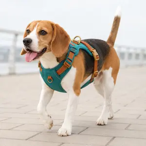 No-Pull Dog Harness and Leash Set, Adjustable Pet Chest Vest Harness for Medium Large Dogs, Anti-Pull Outdoor Walking Harness for Training and Daily Walks