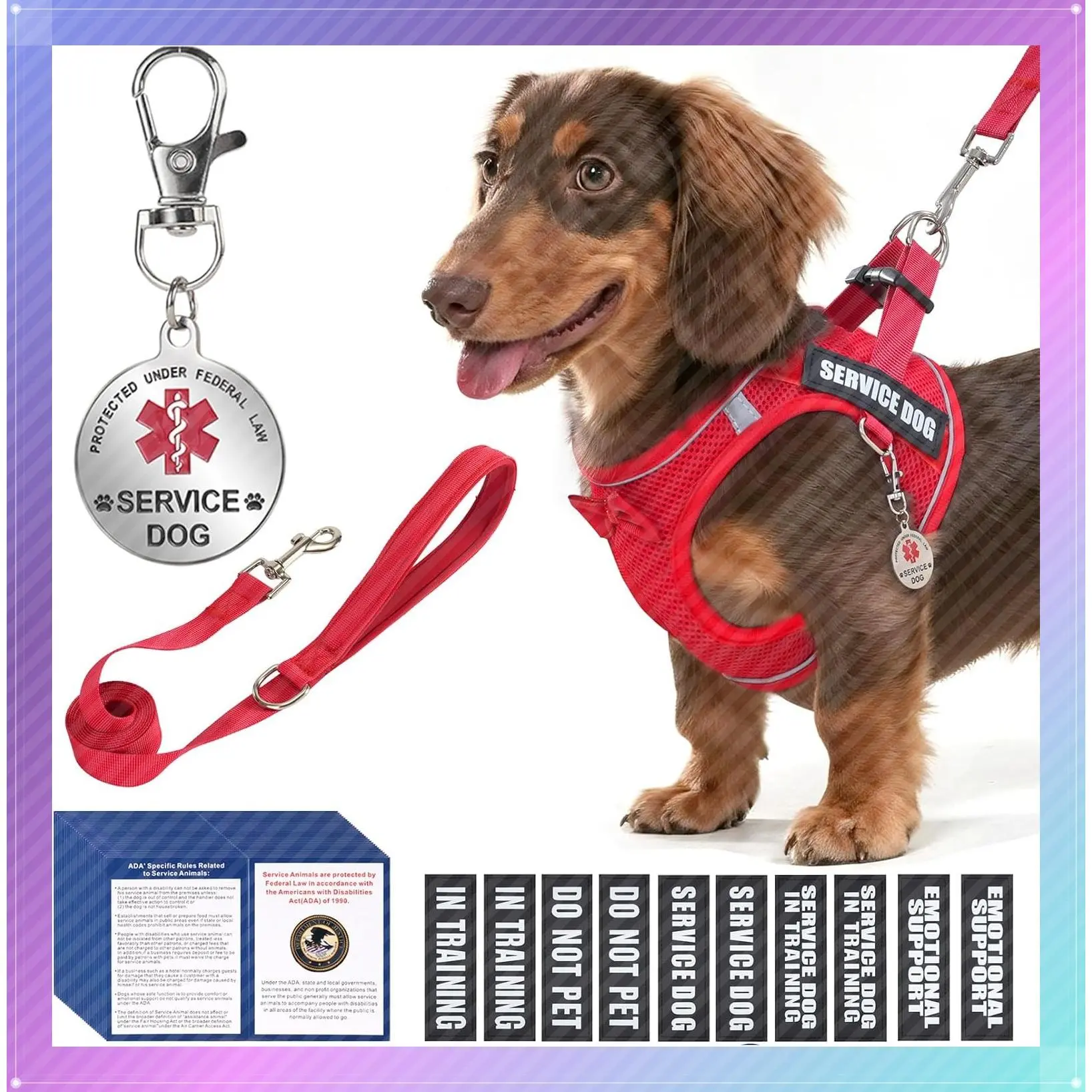 Service Dog Vest Harness Set for Small Breed Dogs with 50 ADA Cards, 10 Removable Patches, ID Tag, Leash – Lightweight Emotional Support Puppy HarnessGift