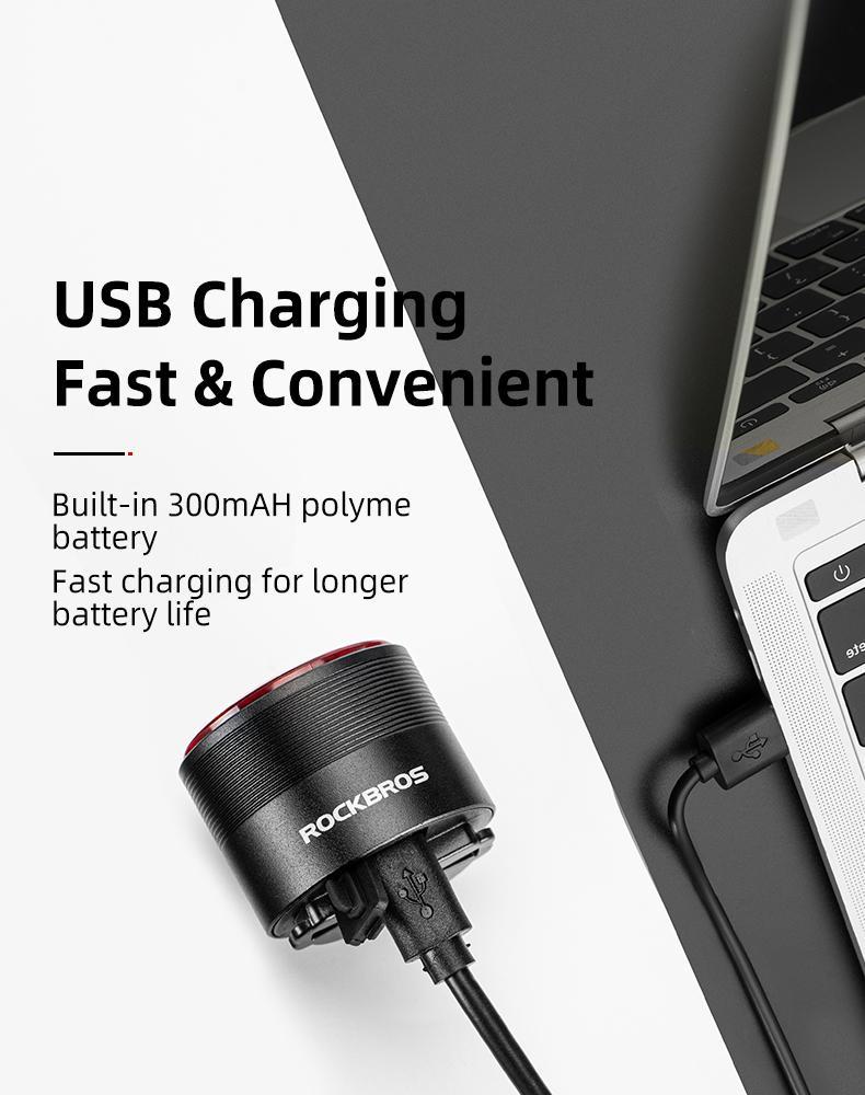 ROCKBROS Bike Tail Light, USB Rechargeable Bicycle Taillight, Auto On Off Sensor IPX6 Waterproof Bike Rear Lights for Night Riding and Bicycle Safety, 4 Light Modes Cycling Safety Light